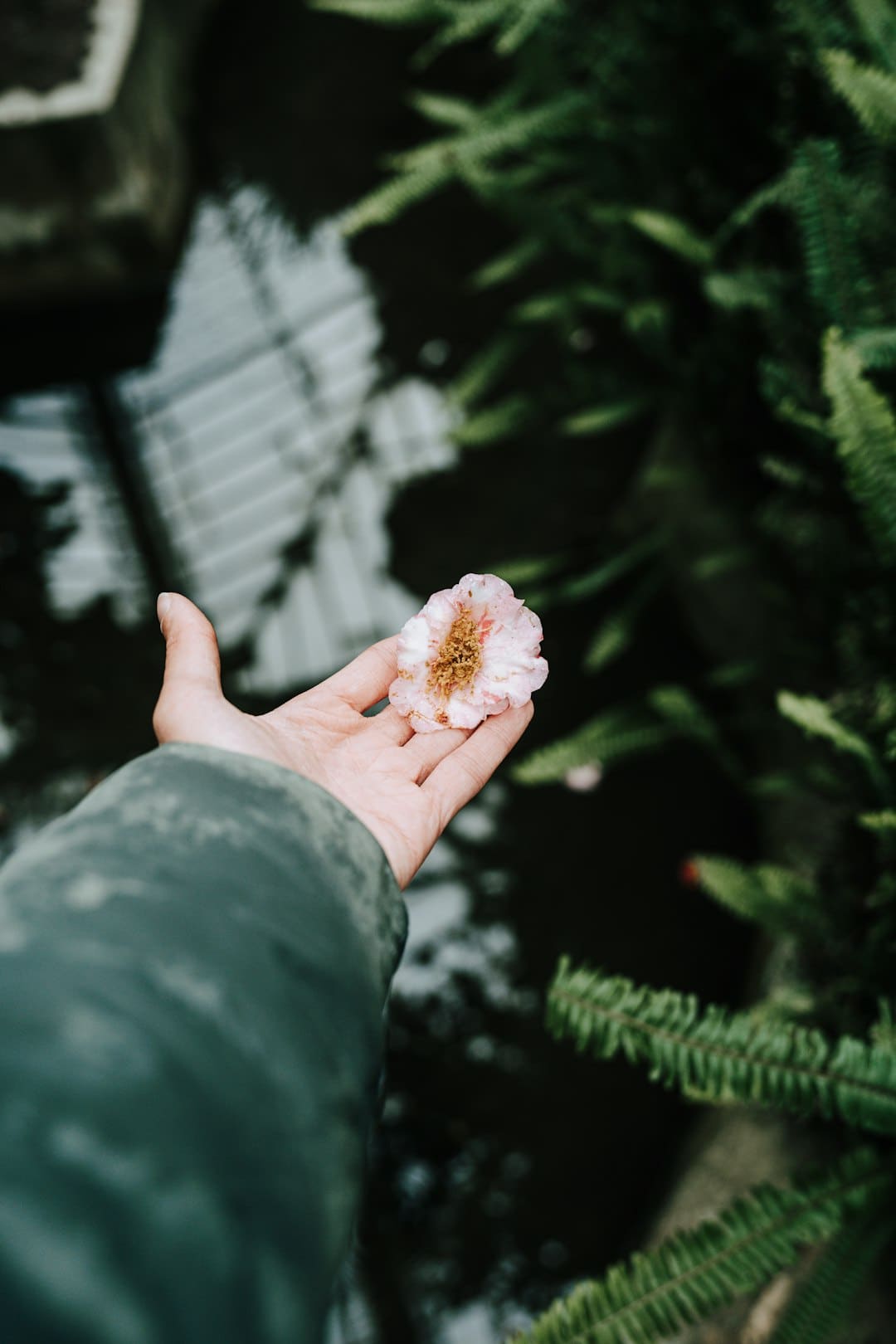 普京与特朗普新一轮会谈何时进行？俄方回应：可能是近期